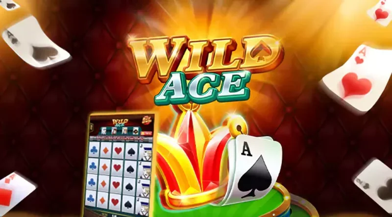 Hướng dẫn quản lý ngân sách và tối ưu hóa các tính năng trong Wild Ace.